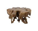 Spider Coffee Table - 80x80x40cm - Teak Root