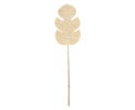 blad Persica