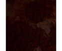 Salontafel Jace small 60x60cm - bruin | Eleonora