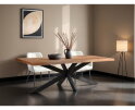 Boomstam tafel van mangohout kopen met matrix onderstel? Brix Sturdy tree