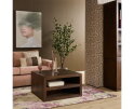 Salontafel Brussel Brown