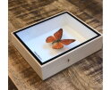 Echte vlinder in houten box oranje | Slechts € 29,95 winkel in Deventer