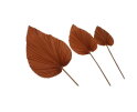 Decoratief palmblad set van 4 - Cognac - Palmblad