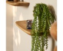 Wandplank Gusta Naturel | 60 cm | Set van 3