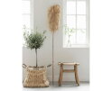 sisal blad