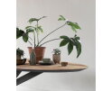 Timeless eettafel Shape 280 cm