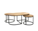 Oval Coffee Table Set Of 3