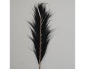 Decoratieve veer - 65x2x220 - Zwart/naturel - Bamboe