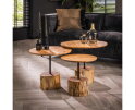 Salontafel set/3 boomstam voet - Massief acacia naturel