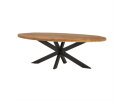 Eettafel Peru Ovaal mangohout - 210x100 cm