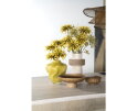 Bowl Yori small - bruin | BY-BOO