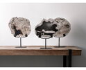statue Fossil