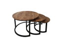 Salontafel set van 3 mangohout