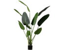 Strelitzia Kunstplant Groen 164cm - WOOOD