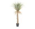 Wild Yucca tree small | BY-BOO
