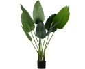 Strelitzia Kunstplant Groen 108cm - WOOOD