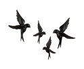 Set V 4 - Avaler Vogels Hars Zwart - BePureHome