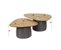 Salontafel set/2 infinite - Gerecycled teakhout fineer