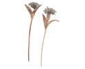 Rattan flower Light Grey - ORDER by 4 pcs,65x&Oslash;15 cm