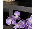 Vakkenkast Brussel Black XL | 160 cm