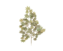 Zijde 'Acer Leaf',siertak stof met bladeren,decoratief in vaas-4,75 p.s