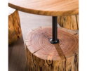 Salontafel set/3 boomstam voet - Massief acacia naturel