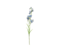 Siertak 'Delphinum Persicifolia' met blauwe bloemen,decoratie 3,95 p.s