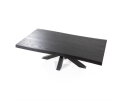 Boomstam salontafel met spinpoot zwart - 130x70 | Eleonora