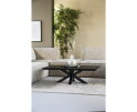 Boomstam salontafel met spinpoot zwart - 130x70 | Eleonora