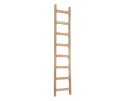 ladder Steps