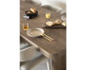 Eettafel Edward 240x100cm - bruin | Eleonora