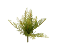 Zijde 'varen bos' groen, decoratie siertak stof met blad,33 cm 9,50 p.s
