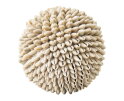 Sand shell ball
