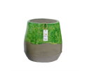 Groene Pot