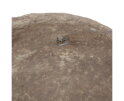 Mask Wanddeco Papier Mache Bruin Melange - BePureHome