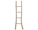 ladder Must Have