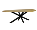 Eettafel Kiezel mangohout met facetrand 200x120 cm - organische vorm - naturel