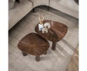 Bijzettafel set/2 XL Maya teak - Teak rust brown