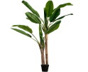 Bananenplant Kunstplant Groen 138cm - WOOOD