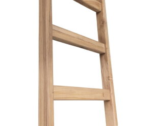 ladder Steps