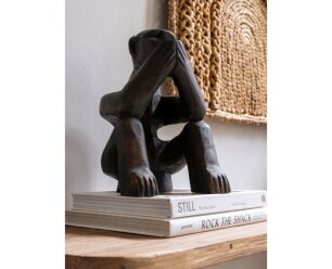 statue Monkey Say nothing