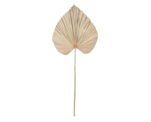 palmblad large