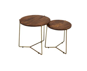 Salontafel Mason Brass Set van 2 kopen?| Meubelplaats.nl