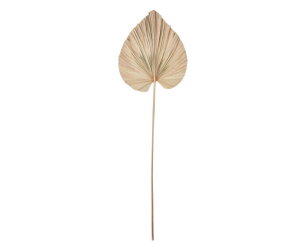 palmblad small