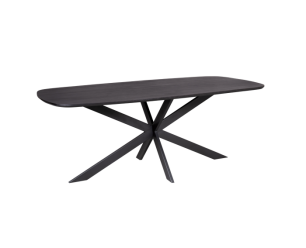 Eettafel Elegance Deens ovaal Zwart | 200x100 cm