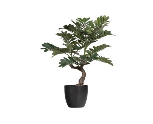 Zamia Kunstplant Groen 76cm - WOOOD