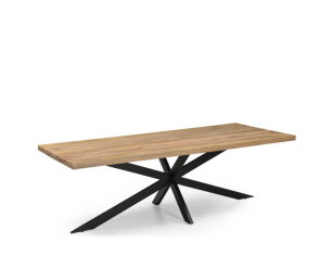 Eetkamertafel Rechthoek 25+25 240