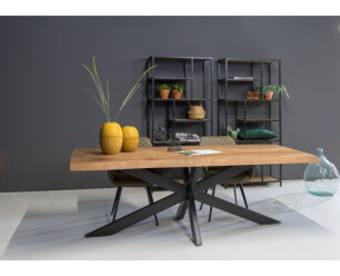 Boomstam tafel van mangohout kopen met matrix onderstel? Brix Sturdy tree