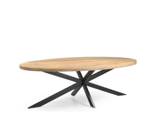 Eetkamertafel Ellips 25+25 200