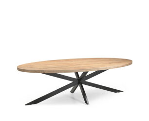 Eetkamertafel Ellips 25+25 300